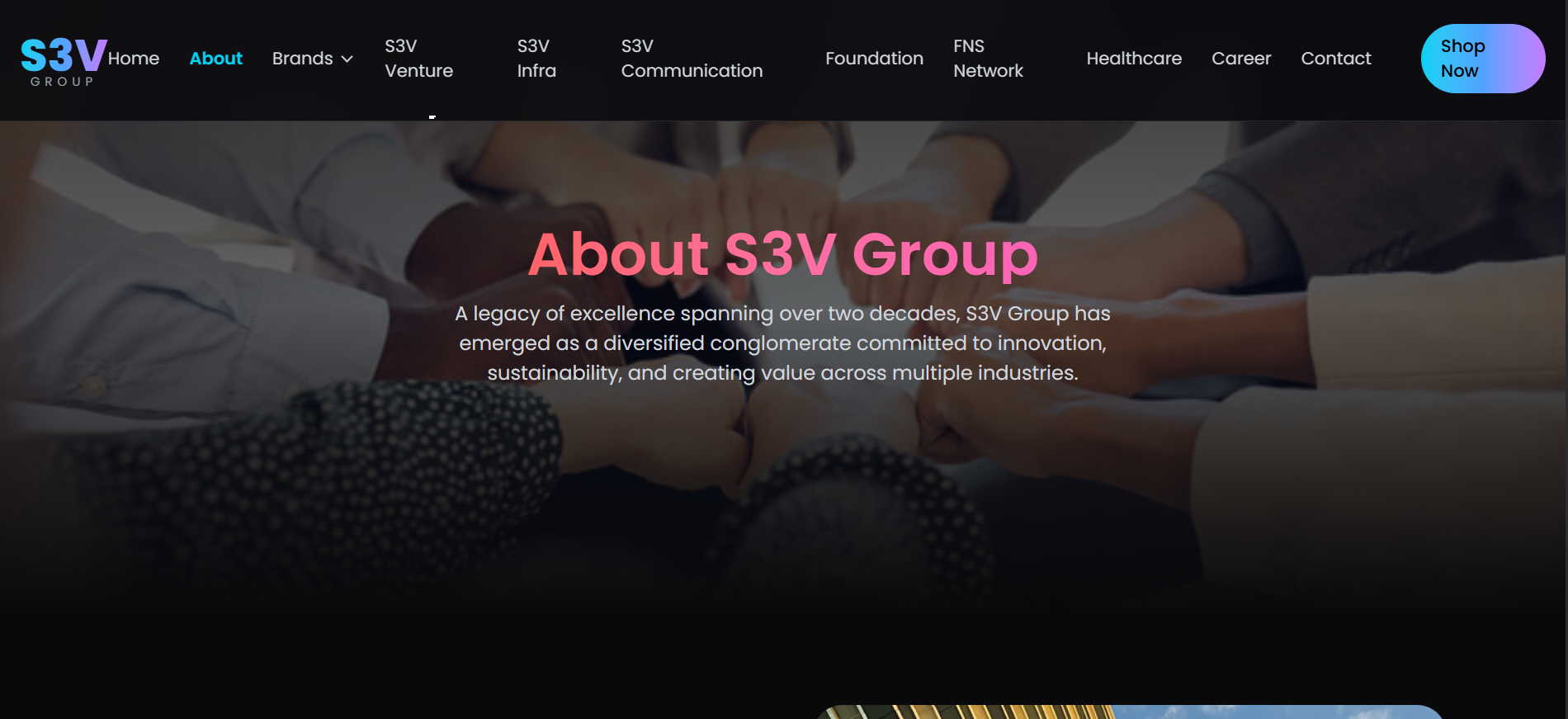 S3v Group Pvt Ltd