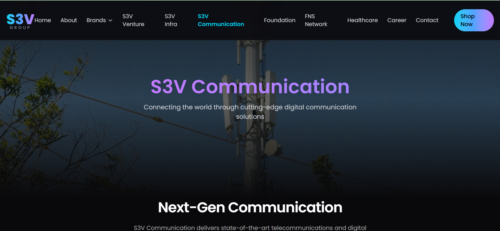 S3v Group Pvt Ltd